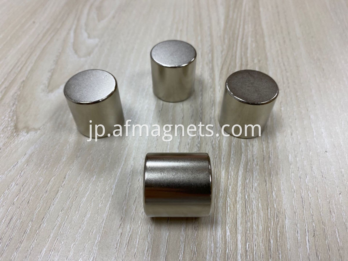 Large Neodymium Disc Magnets